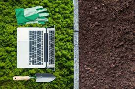 A few months ago i woke up in the middle of the night in a cold sweat with the awful realization that the creeping mint (mentha requienii) i had planted around my flagstone path was going to take over the entire garden. Online Stores To Buy Moss