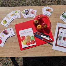 Epingle Par Daniele Heinrich Sur Education La Pomme En Maternelle Theme Pomme Activites Pomme