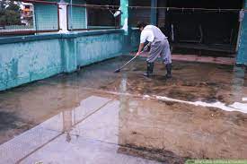How To Deal With Damp In Your Home: 12 Steps (With Pictures)