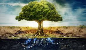 Who lived in the garden of eden. The Garden Of Eden On The Philosophy Of Good And Evil By Nuworlds Medium