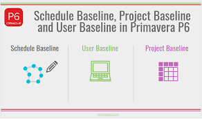 Inherited the element is aligned with the baseline of the parent. Schedule Baseline And User Baseline In Primavera P6 Projectcubicle