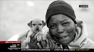 Pug rescue and Thanda Inja initiative aim at providing quality care for dogs