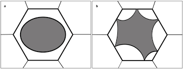 Plasmolysis is the occurrence of shrinking of the cytoplasm and the loss of plasma membrane from crystals are commonly found in plant cells and dissolved in cell fluids. Plants Free Full Text Plasmolysis Loss Of Turgor And Beyond Html