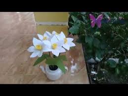 Cara Membuat Bunga Tulip Dari Kain Flanel Youtube Bunga Kain Flanel Bunga Tulip