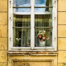 Also ask questions and discuss related issues here. Cat In The Window The Entire Scene In The Window And The Deep Layers Of Reflection In The Glass And Hints Of The Interior Make One Windows Brasov Cobblestone