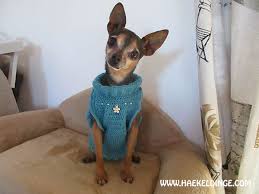 Rundstricken mit dem magic loop oder babyjacke zum und hundebekleidung weihnachtsgeschenk für hunde hund. Hundepulli Hakeln Ist Nicht Schwer Hakeldinge