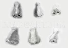 The looking that you get depend on age, gender and alignment of the character. How To Draw Realistic Noses Draw Noses Step By Step Drawing Guide By Catlucker Dragoart Com