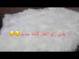 أفضل طريقه لغسيل الفرو والحفاظ عليه غسلت المشايه الفرو وبقت فل Youtube