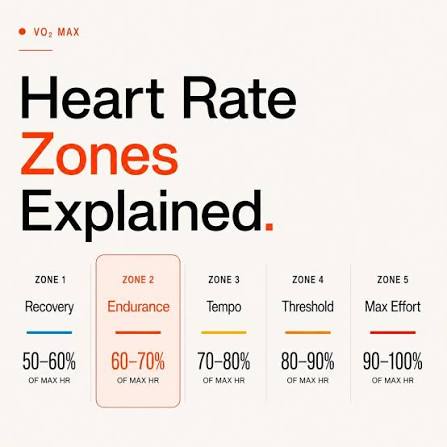 Zone 2 and VO2 Max: A Beginner's Guide to Training That Matters