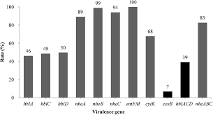 Etapa finală de implementare a monedei euro a început pe data de 1 ianuarie 2002, când monedele naţionale au început să fie scoase din circulaţie. Frontiers A Study On Prevalence And Characterization Of Bacillus Cereus In Ready To Eat Foods In China Microbiology