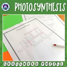 We did not find results for: Photosynthesis Crossword Worksheets Teaching Resources Tpt