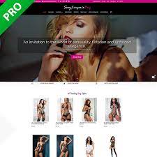 Professional Lingerie Dropshipping Store | Dropship Turnkey Business |  Website | eBay