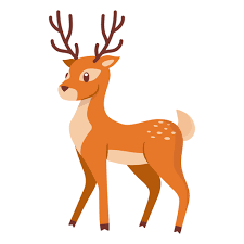 Deer – hươu