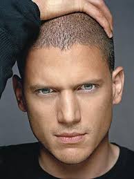 prison break articles original