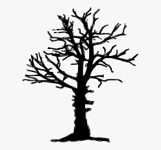 Collection of dead png images in transparent background for free unlimited download. Dead Tree Silhouette Png Transparent Png Transparent Png Image Pngitem