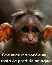 Port Du Masque Obligatoire Images Droles Humour Image Humour Images Droles