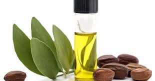 Used sparingly as a food dressing. Jojoba Oil In Tamil à®œ à®œ à®ª à®Žà®£ à®£ à®šà®° à®®à®® à®®à®± à®± à®® à®¤à®² à®® à®Ÿ à®• à®• à®• à®Ÿ à®• à®• à®® à®ªà®²à®© à®•à®³