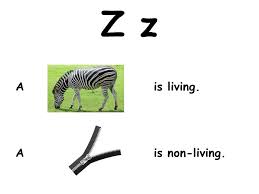 We did not find results for: The Abc S Of Living And Non Living Things Ppt Video Online Download