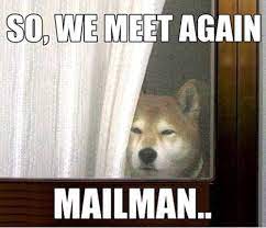 So We Meet Again Mailman Funny Tumblr Dog Meme Humor Mailman Meme Quotes Meme Pictures Dog Quotes Funny Funny Dogs Funny Animal Pictures