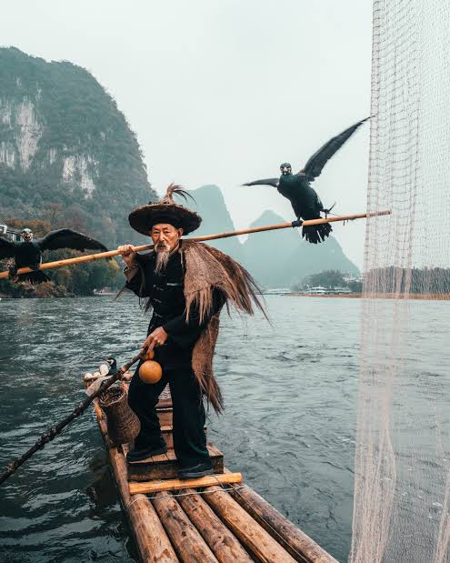Nelayan dengan burung kormoran di Sungai Li, Guilin — ikon perjalanan China