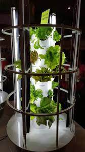 Tower Garden With Grow Lights And Tomato Cage Juiceplus Towergarden Gjohnson Towergarden Com Juice Plus Tower Garden Tower Garden Tomato Cages