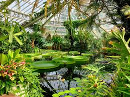 De plantentuin van meise is één van de grootste in de wereld. Plantentuin Meise Belgium Future S Top Tourist Spot Belgium
