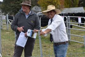 Cow with calf tops Fig Tree Park Angus female sale