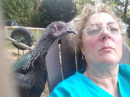 New England poultry website and exposition