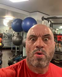 Joe Rogan
