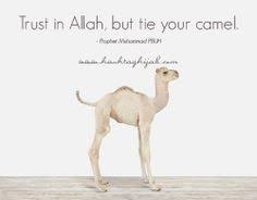 Sorry, forgot to mute the slow motion bit!!! 350 The Deen Ideas Islamic Quotes Islam Muslim Quotes