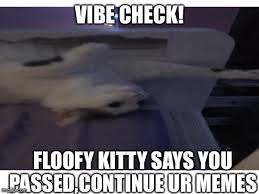 Yeah thats not what i was looking for at all. Cats Good Job Memes Gifs Imgflip
