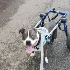 Remembering this beautiful baby . . . Maddie Kathryn 10/9/04