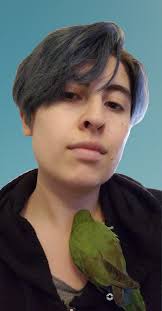 Dec 2021 Jan 2022 Phainopepla