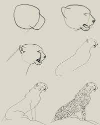 How to draw a cheetah quick & easy (drawing & cartoon for kids. Pin By Greti Tolnai On How To Draw Animal Drawings Future Artist Ink Pen Art