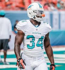 A Closer Look At The Miami Dolphins Rbs Finsmob Unleashed