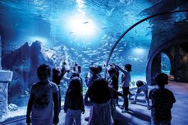 Funtastic Aquarium Izmir Okyanus Akvaryum Buyuk Akvaryum Tunel Akvaryum Deniz Akvaryum