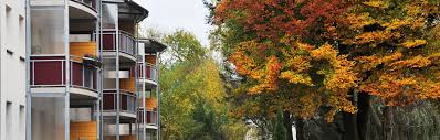 285,00€ anhalter straße 7, 03238 finsterwalde, deutschland. Woge Finsterwalde Eg Wohnungen