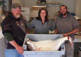 Welcome to Fishermen's Voice