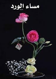 نحن لا نستطيـع إحياء ورود قــد مـاتت لكــن بوسعنـا زرع ورد أجمـل كـذلك هـي الحياه لا تتـوقف بسب evening greetings flower painting good morning arabic
