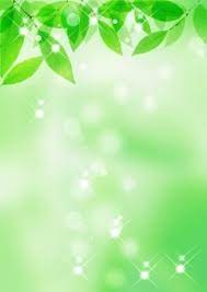 6 non lus sfr mail mail 植物の壁紙 抽象的な背景 緑 壁紙