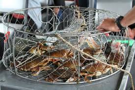 Maybe you would like to learn more about one of these? Best All You Can Eat Seafood Restaurants Cheapism Com
