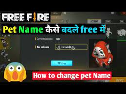 Traditionally, all battles will take place on the island, where you will play against 49 players. How To Change Pet Name In Free Fire Pet à¤ à¤¨ à¤® Free à¤® à¤ à¤¸ à¤¬à¤¦à¤² Pet Name Change Kaise Kare Youtube