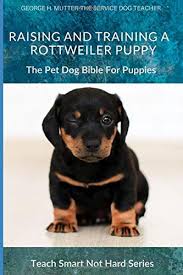 If they can be trained to herd livestock and pull carts to market (ok, most rotties have never seen a cart, let alone pulled one, but memories run long). Raising And Training A Rottweiler Puppy The Pet Dog Bible For Puppies Teach Smart Not Hard Mutter George H 9798647530271 Amazon Com Books
