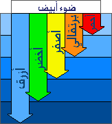 حقائق عن الضوء