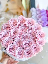 Send truly original floral arrangements and gifts. Shop 1 Year Long Lasting Roses In Australia Flower In A Box Flower In A Box