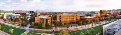 University Of Arizona The Princeton Review College