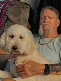 Add Christmas background to photo?