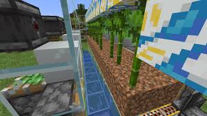 You can make 0 tick sugarcane farm and a 0 tick cactus farm. 0fps With 0 Tick Farm Java Edition Support Support Minecraft Forum Minecraft Forum