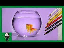 157 Realistic Drawing Of A Fish In A Bowl With Colored Pencils Youtube Realistic Drawings Mug Drawing Drawings