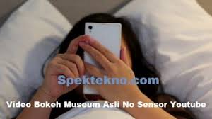 If users disobey the terms or remove, disassemble, change the components inside of the sensor, we shall not be responsible for. Video Bokeh Museum Asli Indo Arsip Spektekno
